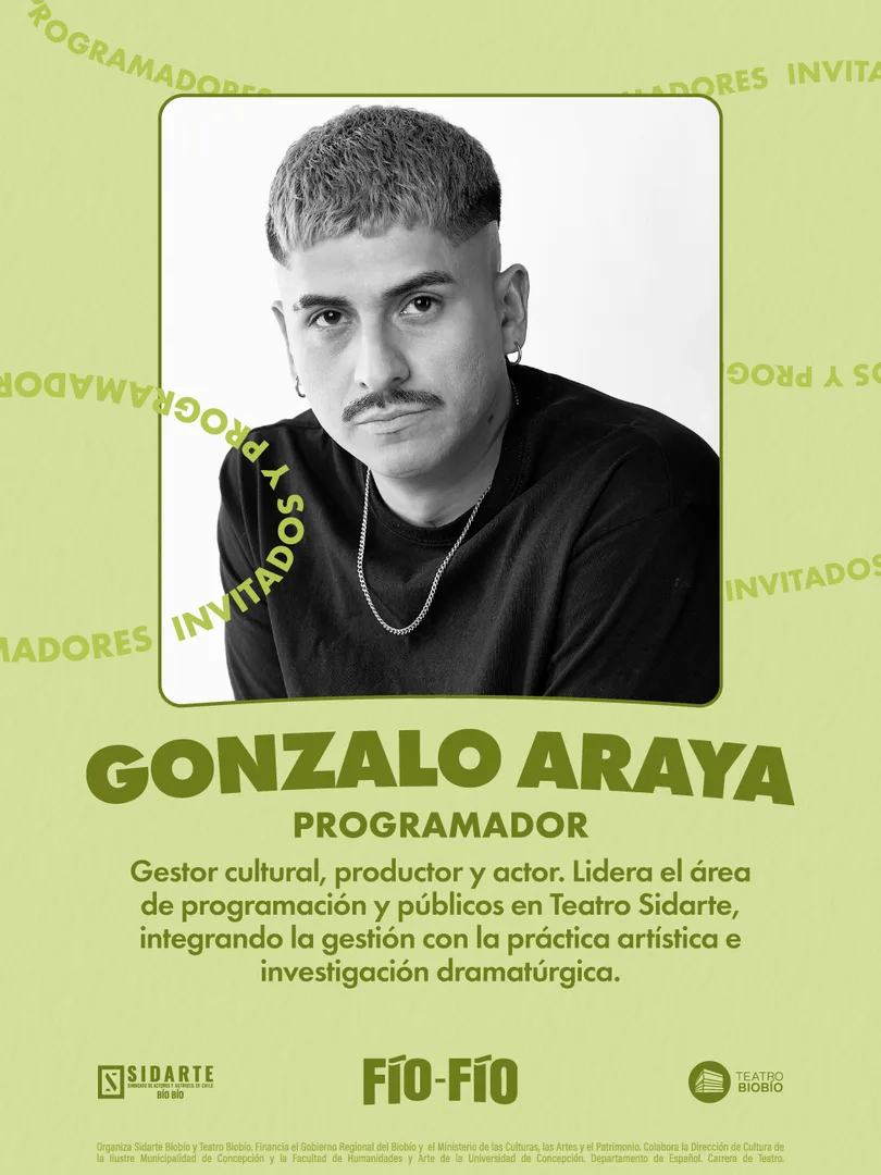 Gonzalo Araya, programador
